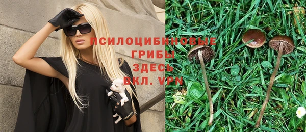 mdpv Алексеевка