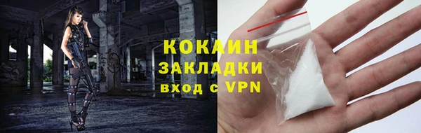 хмурый Алексин