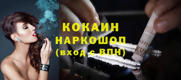 хмурый Алексин