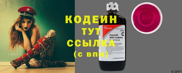 хмурый Алексин