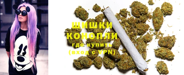 гашик Алзамай