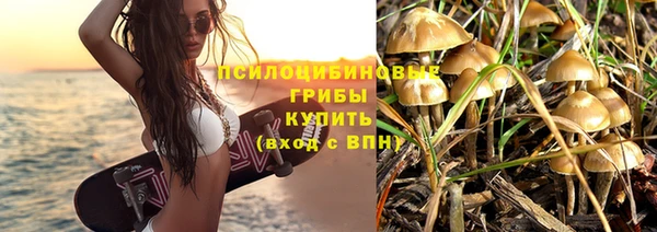 хмурый Алексин